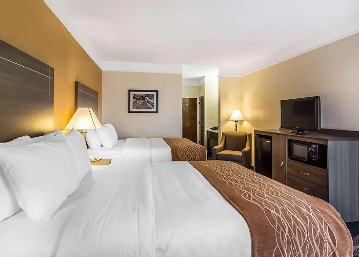 Comfort Inn Near Frost Bank Center